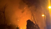 incendio domato ieri sera