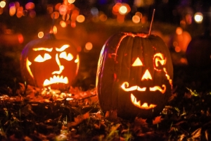 Montesilvano. Halloween con la natura e gli animali.