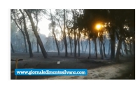 Pescara/Incendio. "Perché non era attivo un servizio di vigilanza AIB per Riserva Dannunziana?"