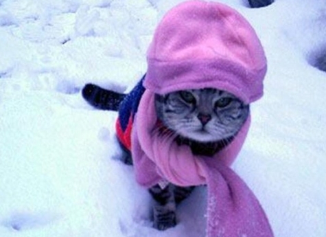 Influenza Italia 2016: arriva il periodo più a rischio, dopo Natale