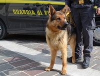 Città Sant'Angelo, sospensione licenza per un locale con 13 grammi di droga