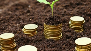 Abruzzo/Green Economy.Verso gli Stati Generali di Rimini