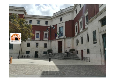 Pescara approva la mozione su diagnosi precoce dell’autismo e formazione 0-6