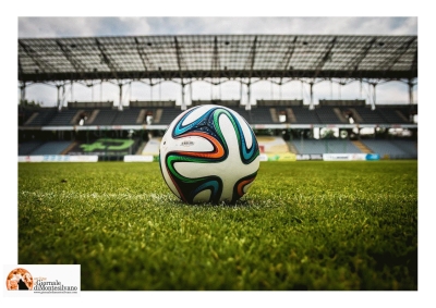 Inchiesta su accordo Regione – Napoli Calcio, Fina: “Superficialità e faciloneria, questo governo regionale è pericoloso”