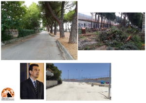 nella foto l'ex sindaco Maragno, la via come era prima e successivamente senza alberi