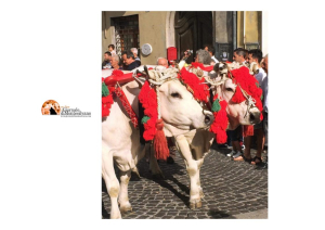 Le novità del Ferragosto atriano