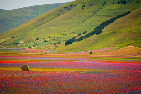 L'Eden Fiorito della Sibilla Picena -video