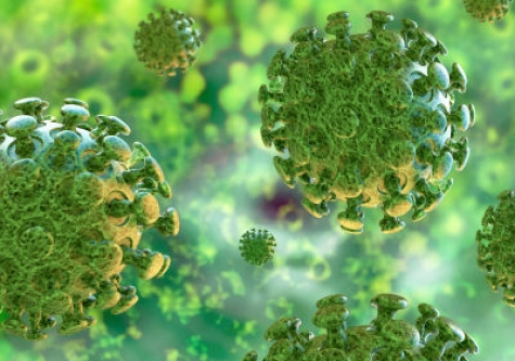 Covid 19/Abruzzo. 12 decessi e 53 casi positivi in più