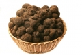 Abruzzo arriva l’oro nero con le vie del tartufo.
