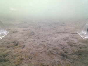 Ricerca conil drone subacqueo