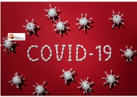 Abruzzo/Coronavirus , dati aggiornati al 24 maggio: oggi 1052 nuovi positivi e 1544 guariti