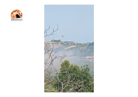 Incendio a Cappelle sul Tavo su una collina. Intervento immediato Canadian