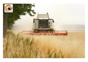 Abruzzo/Approvata legge agricoltura sociale e manovra di bilancio da 5,2 milioni per il settore primario