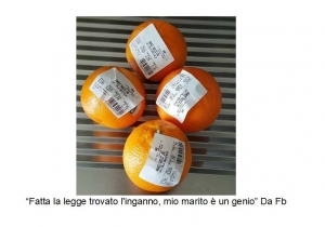 questa foto sta facendo il giro dei social in poco tempo