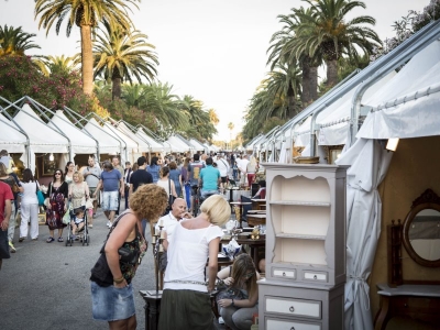 L'Antico e le Palme in tour. Da San Benedetto del Tronto alle località più belle d’Italia