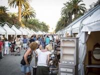 L'Antico e le Palme in tour. Da San Benedetto del Tronto alle località più belle d’Italia