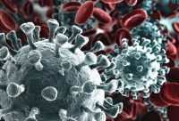 Coronavirus, positivo un centenario  di Penne