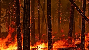 Abruzzo/Incendi boschivi. Mazzocca: "Investiti 370mila euro"