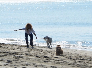 Turismo. Corso manager dog per luoghi ricreativi a misura di cane