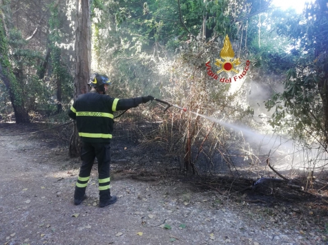 vigile che spegna fuoco