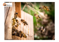 BeeOdiversity Park di Montebello di Bertona