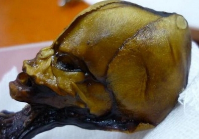 Perù. L'alieno' di Atacama è un feto umano