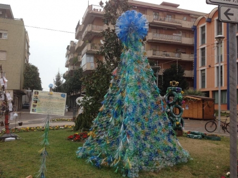 Albero vincitore