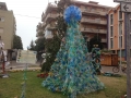 Albero vincitore