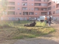 Montesilvano/via Rimini. Controlli e sfalcio, pulizia del verde