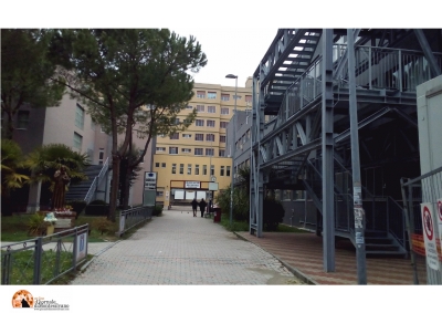 Pescara/Pronto soccorso. Disorganizzazione e carenza di personale. Associazione contribuenti: "grave"