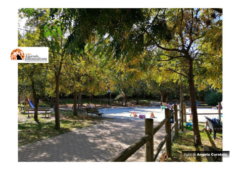 Montesilvano. Alberi in città, Green Party al Parco della Libertà