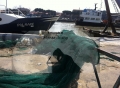 Pescara/pesca. Online il bando per i Flag, gruppi di azione locale a sostegno del settore