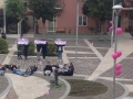  flash mob di studenti