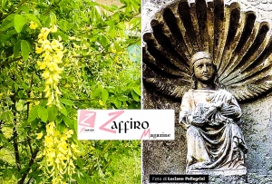 Maja e il favoloso maggiociondolo