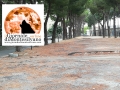 La via dietro l'ex Fea, tra Viale europa e Corso Umberto