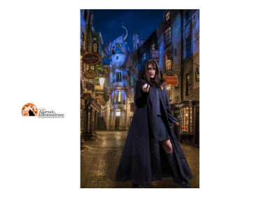 Abruzzo, ecco i provvedimenti in giunta regionale: c'è anche il Villaggio di Harry Potter