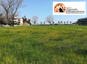 Montesilvano/Ufficio Postale, Maragno: “Chiesta una nuova filiale in zona Pp1”