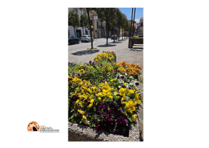 “Fossacesia in Fiore 2026”, concorso per cittadini e attività commerciali per abbellire la città