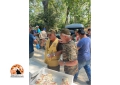 Festa della Cinofilia a Collecorvino