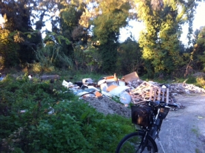 Pescara/Parco Fluviale. Pescarabici, tutti a lavoro per la vivibilità dei luoghi