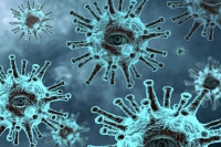 542 i morti in Italia per Coronavirus