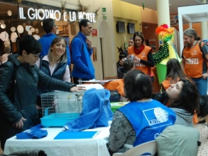 Montesilvano, tanti cani trovano casa con Adotta un amico