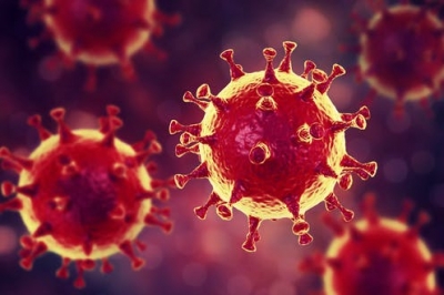 Coronavirus. In Abruzzo 2487 casi positivi totali