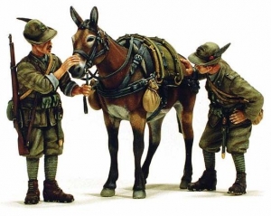 Alpini - truppe alpine