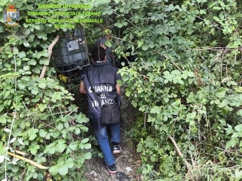 2.100 piante di cannabis sul Salinello a Sant'Omero