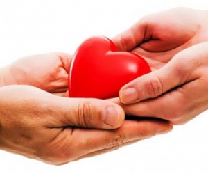 Pescara, Avis: un regalo alle mamme che donano sangue