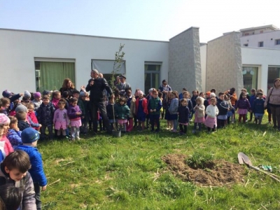 una delle scuole di Silvi