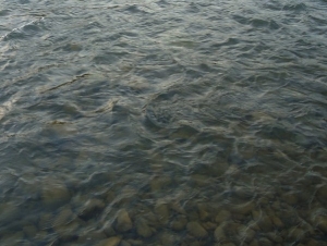 Pescara/fiume inquinato. Incontro operativo connettere condotta ferrovie al Dk15.