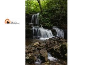 Abruzzo/reati ambientali. Nel 2021 Carabinieri: 400 controlli, 15 notizie di reato