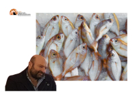 Giulianova. Pubblicata la gara d’appalto per l’ammodernamento del mercato ittico.